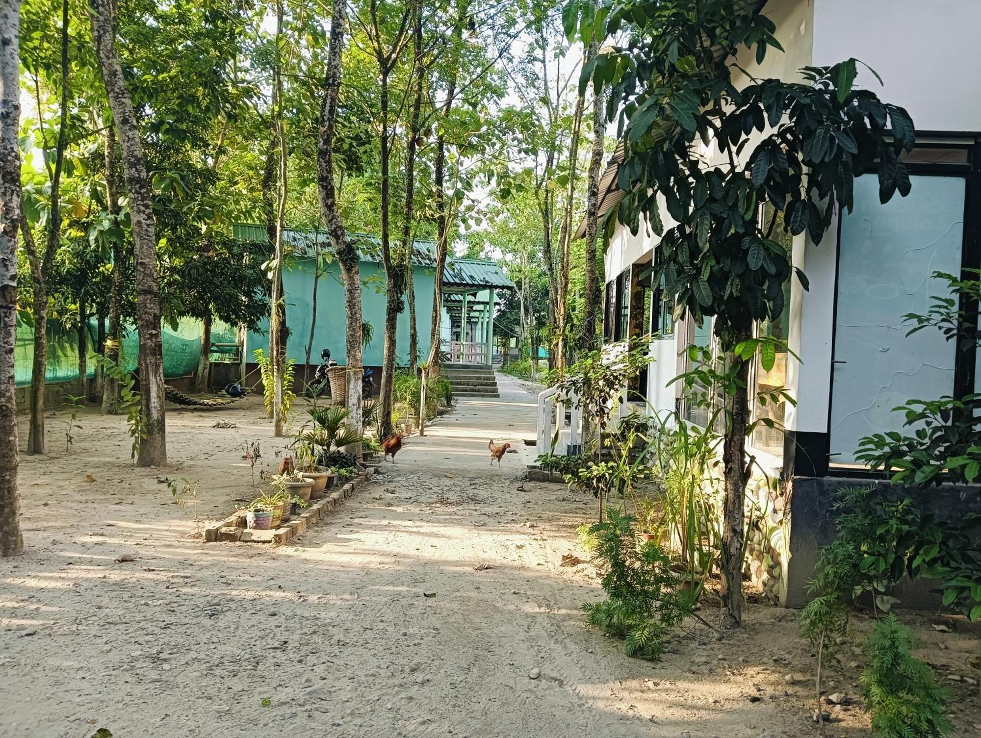 Daomasar Eco Resort Jyoti Gaon Exterior photo